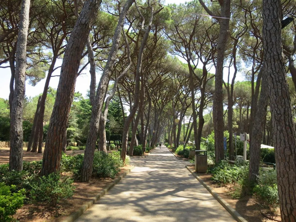 Apartment I Pini By Interhome Castiglioncello