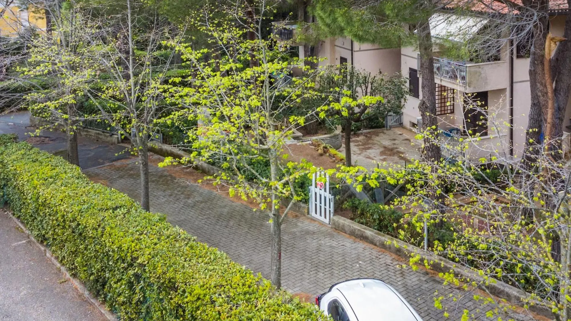 Apartment I Pini By Interhome Castiglioncello
